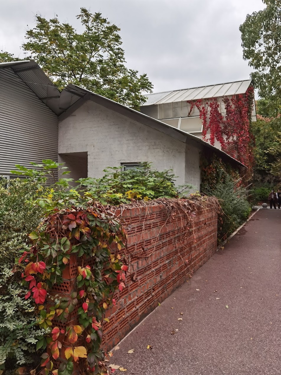 上海西岸文化地标迎来告别季，抓住最后时光沉浸艺术盛宴！