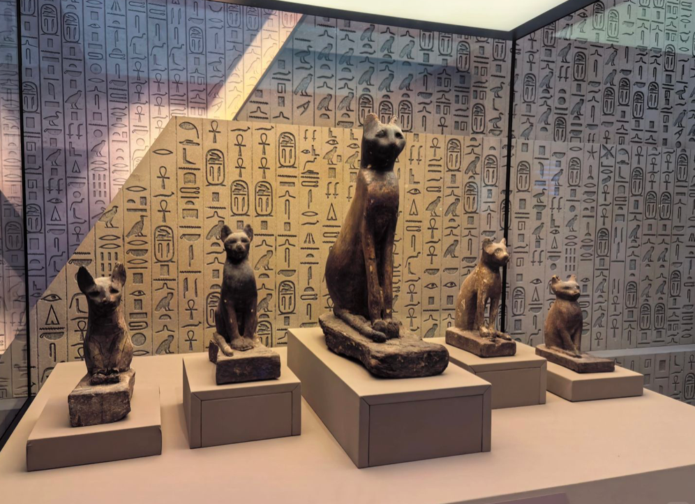 七月下旬新展推荐，古埃及、柯南、插画、动画、珠宝、当代艺术一览